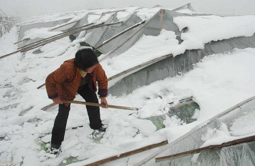 大雪壓垮鋼結(jié)構(gòu)廠房，眾多“二師兄”壯烈犧牲